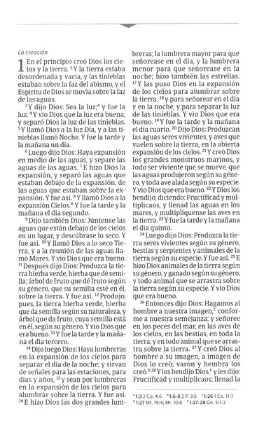 Biblia Compacta Rvr1960, Imit Piel Marrón Con Solapa E Imán - Image 3