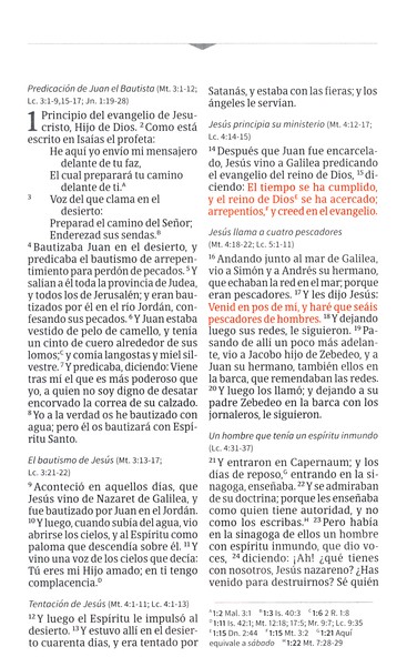 Biblia Compacta Rvr1960, Imit Piel Marrón Con Solapa E Imán - Image 4