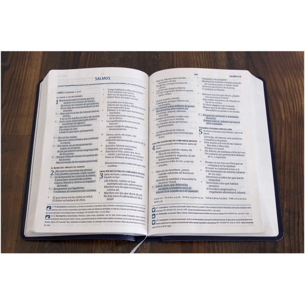 RVR 1960 Biblia del Pescador letra grande, azul símil piel - Image 2