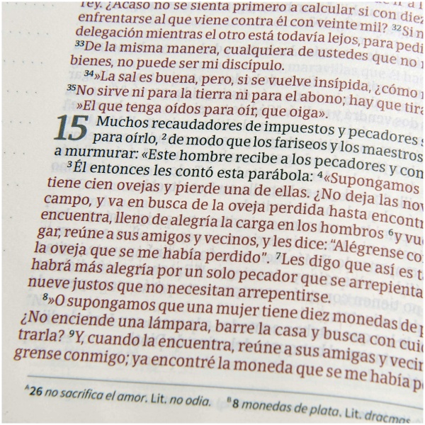 NVI Biblia de Apuntes azulejos color salvia símil piel - Image 2