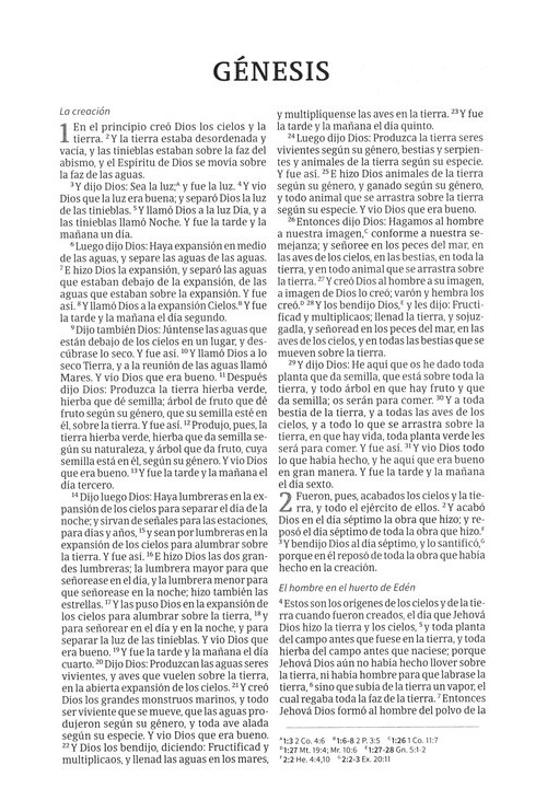 RVR 1960 Biblia Ultrafina, marrón símil piel y solapa con im - Image 5