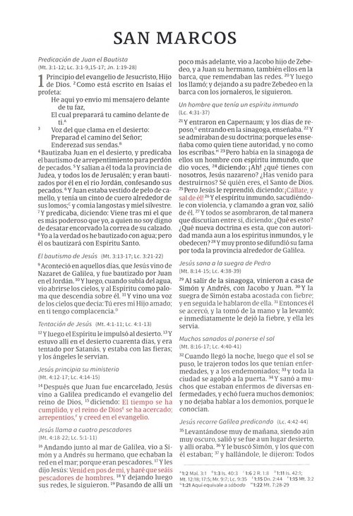 RVR 1960 Biblia Ultrafina, marrón símil piel y solapa con im - Image 6