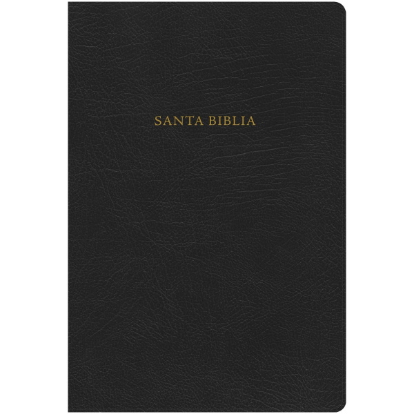 Rvr 1960 Biblia De Estudio Scofield, Piel, Negro - Image 5