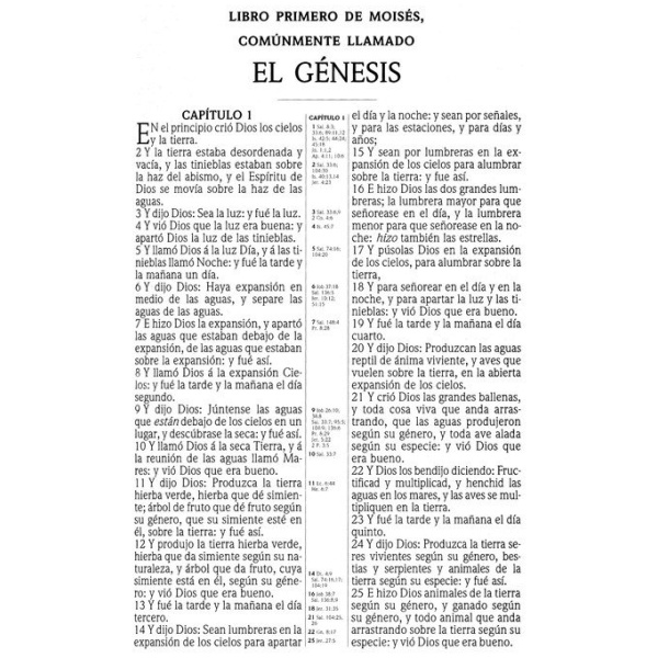 RV 1909 Biblia Clásica con Referencia negro imitación piel - Image 3