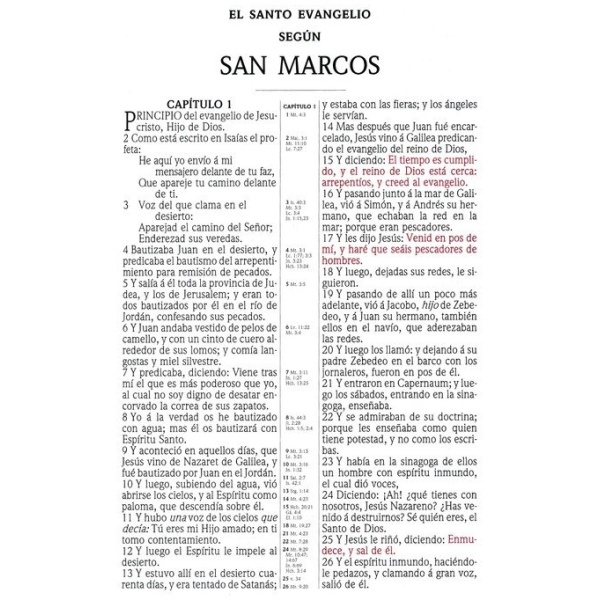 RV 1909 Biblia Clásica con Referencia negro imitación piel - Image 4