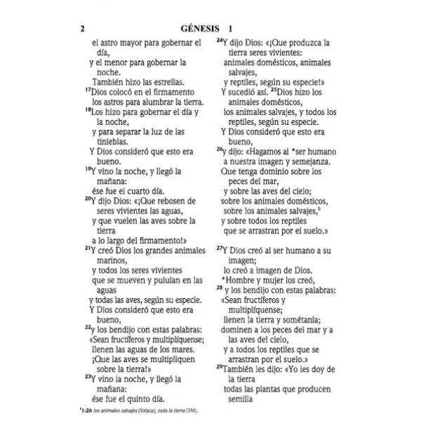 Biblia NVI Letra Grande Tapa Dura Vino - Image 2