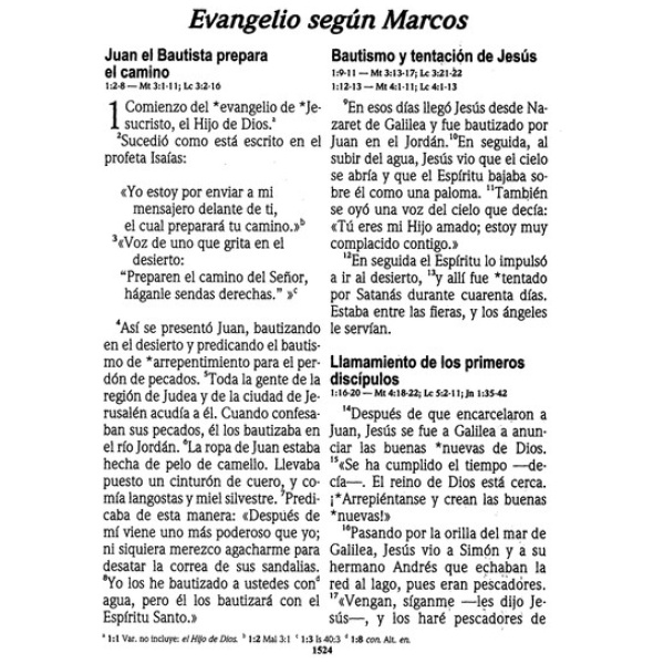 Biblia NVI Letra Grande Tapa Dura Vino - Image 3