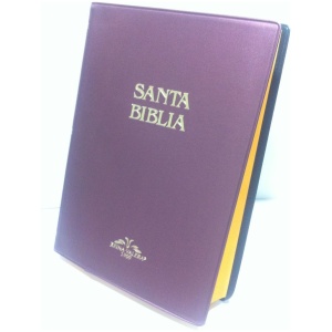 Biblia Mediana RV1909 Vinil Vino Vro52