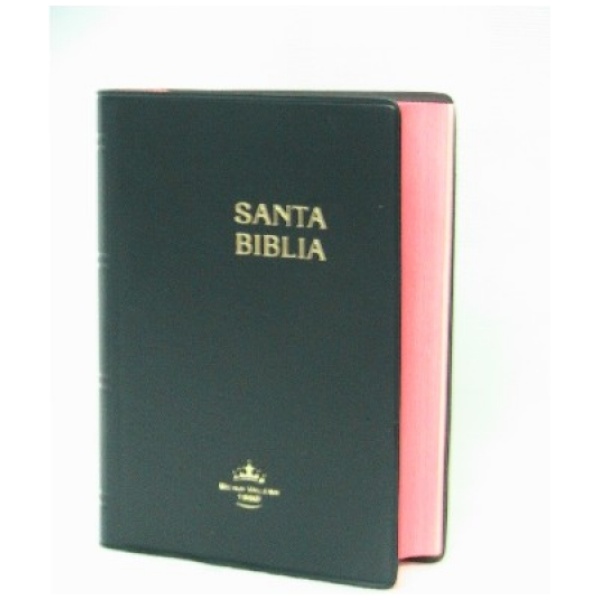 Biblia RVR60 bolsillo vinil con concordancia negro RVR022C