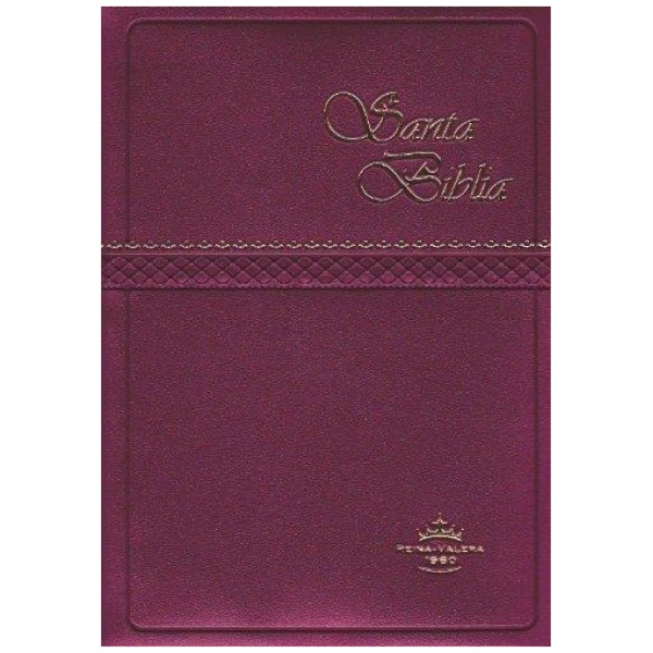 Biblia RVR60 bolsillo vinil con concordancia vino Rvr022C