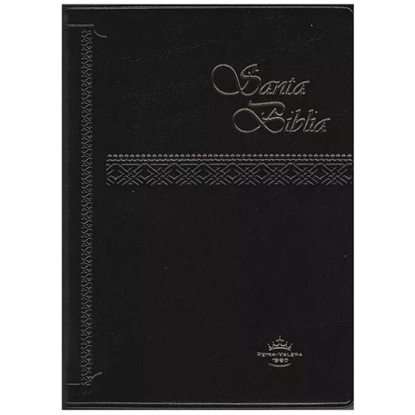 Biblia Reina Valera 1960, Chica, Vinil, Concordancia Breve