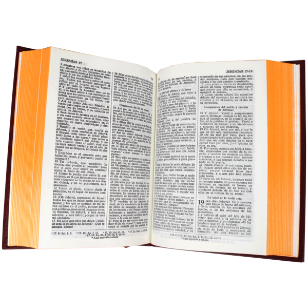 Biblia RVR1960 chiva tapa dura roja - Image 2