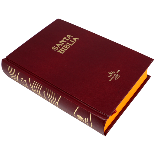 Biblia RVR1960 chiva tapa dura roja