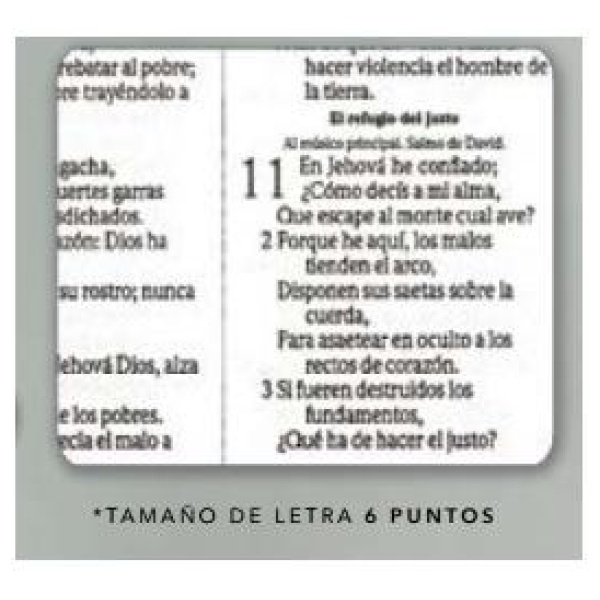 Biblia RVR60 mediana vinil vino RVR062 - Image 2