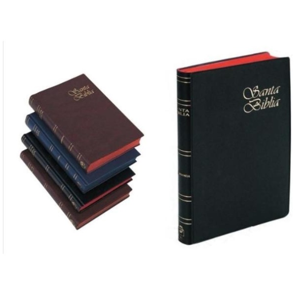 Biblia RVR60 mediana vinil vino RVR062