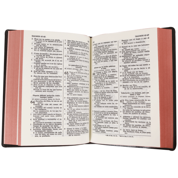 Biblia Cafe RV1960 RVR022 - Image 3