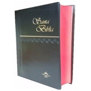 Biblia Reina Valera 1960
