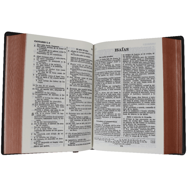 Biblia RVR60 Marron vinil concordancia RVR042C - Image 3