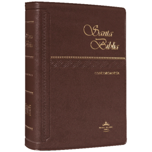 Biblia RVR60 Marron vinil concordancia RVR042C