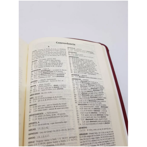 Biblia RVR60 Bolsillo Fina Imit. Piel Vino índice - Image 3