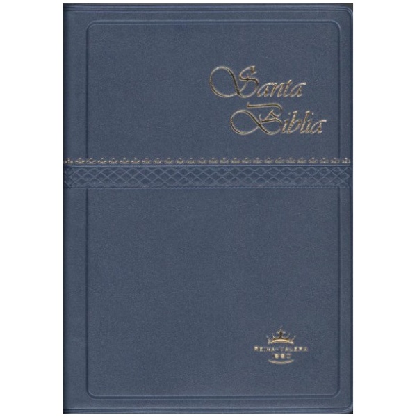 Biblia RVR60 bolsillo vinil con concordancia azul Rvr022C