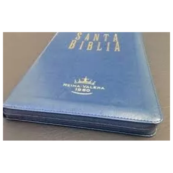 Santa Biblia Reina Valera 1960 Letra Grande Estudio