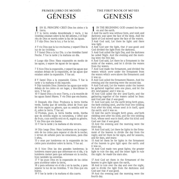 RVR/KJV Biblia Bilingue, Indexadas - Image 3
