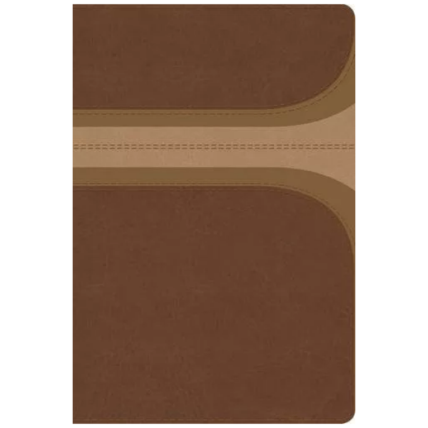 Rvr 1960 Biblia De Estudio Arco Iris, Canela, Símil Pi, Indi