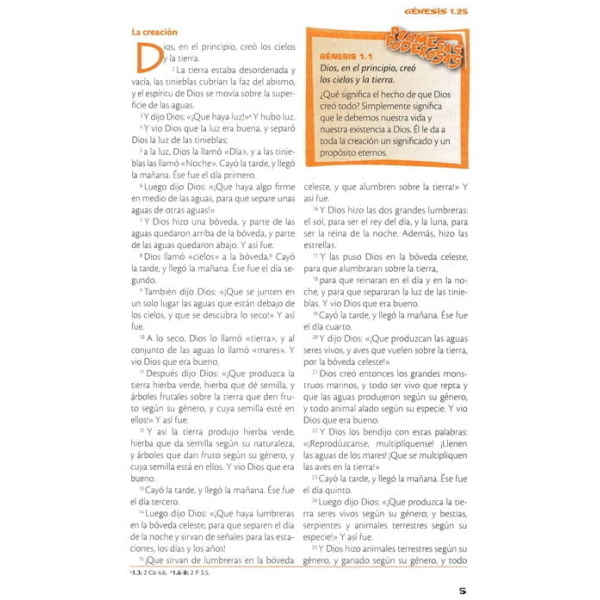 Biblia De Poder Para Niños Rvc, Piel Especial - Image 6
