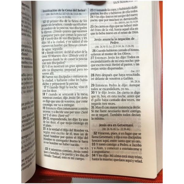 Biblia Bolsillo Con Cierre Rvr1960, Naranja - Image 5