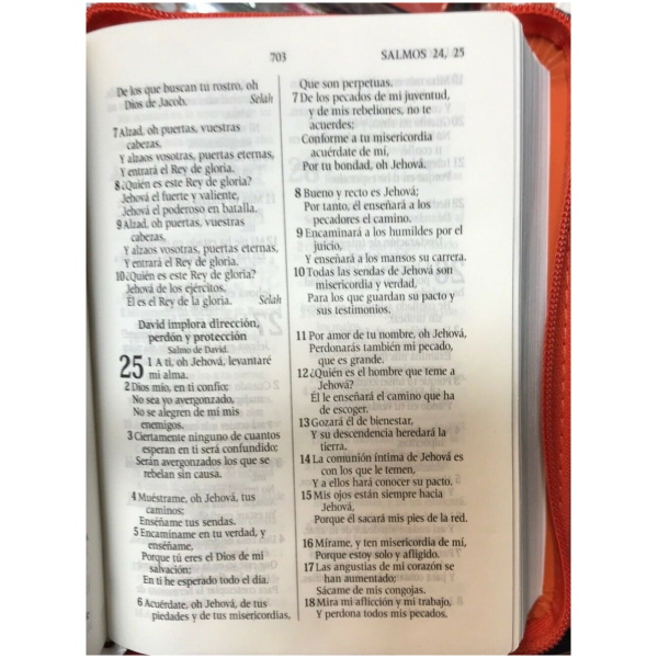 Biblia Bolsillo Con Cierre Rvr1960, Naranja - Image 7