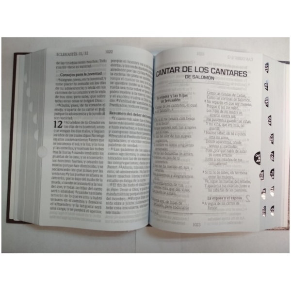 Biblia Reina Valera 1960, Mediana, Letra Grande, Café - Image 2