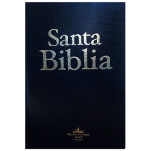 Biblia RVR065 mediana economica negro RVR065e