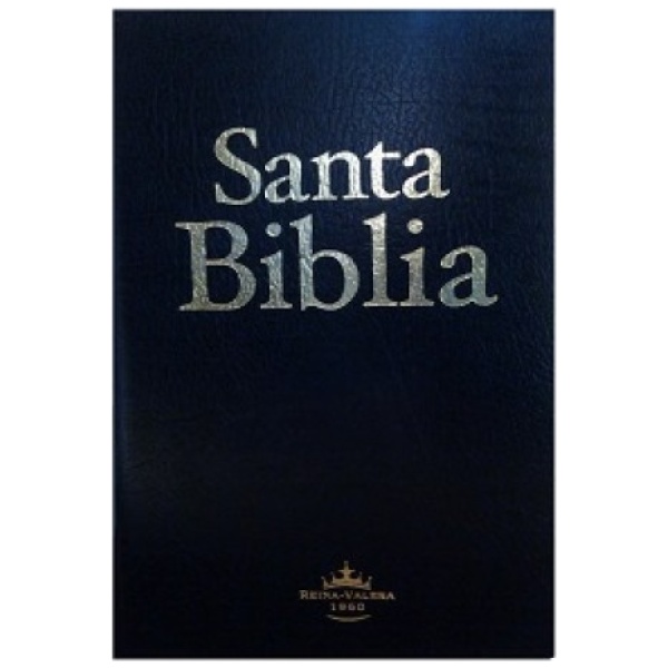 Biblia RVR065 mediana economica negro RVR065e