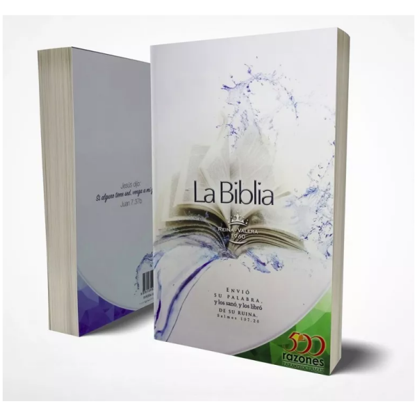 Biblia Reina Valera Rv 1960 Económica - Image 2