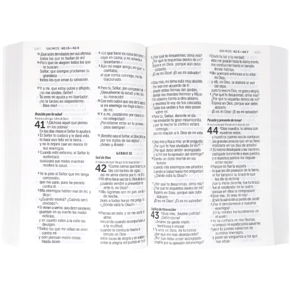 Biblia RVC Letra Grande rústica RVC60LG - Image 3