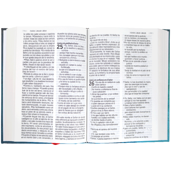 Biblia RVC Con Concordancia Letra Grande RVC63LG - Image 3