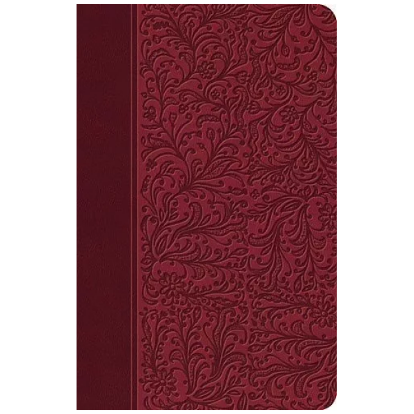 Biblia Clásica Edición Especial Reina Valera 1977