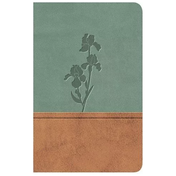 Biblia Clásica Edición Especial Rvr1977 Duo Tono Pardo-menta
