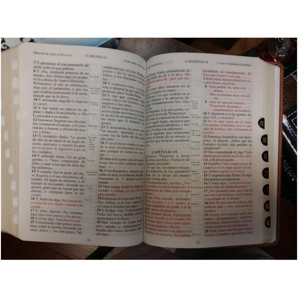 Biblia 1909 Imitación Piel Rojo/marrón índice - Image 2