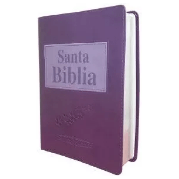 Biblia, Letra Grande Con Concordancia, Rvr 1909, Morada