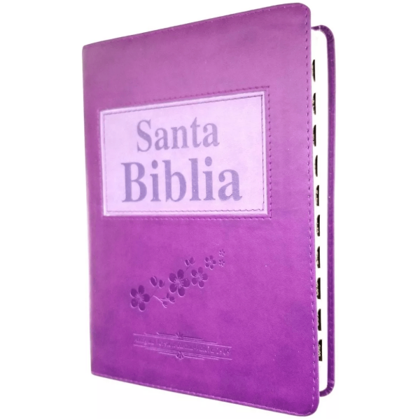 Biblia Letra Grande Con Concordancia Rvr1909 Morada, Índice