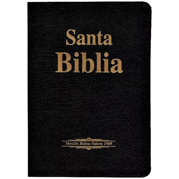 B. RVR1909 Piel fabricada Negro, Letra Grande con Concordanc