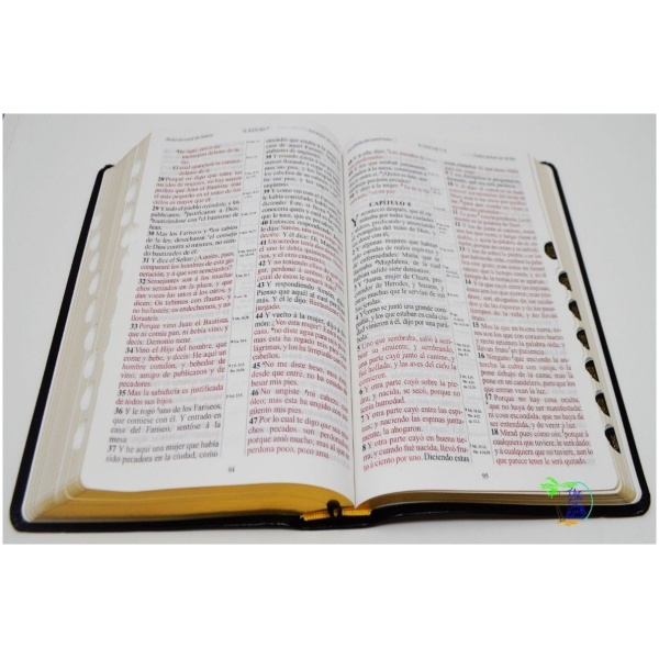 Biblia 1909 Piel Fabricada Negro Índice - Image 2