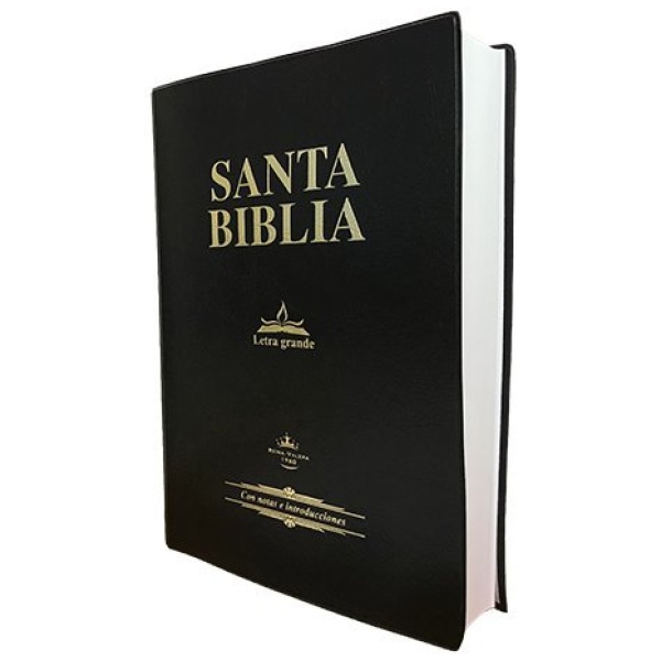 BIBLIA REINA VALERA 1960 LETRA GRANDE VINYL NEGRA