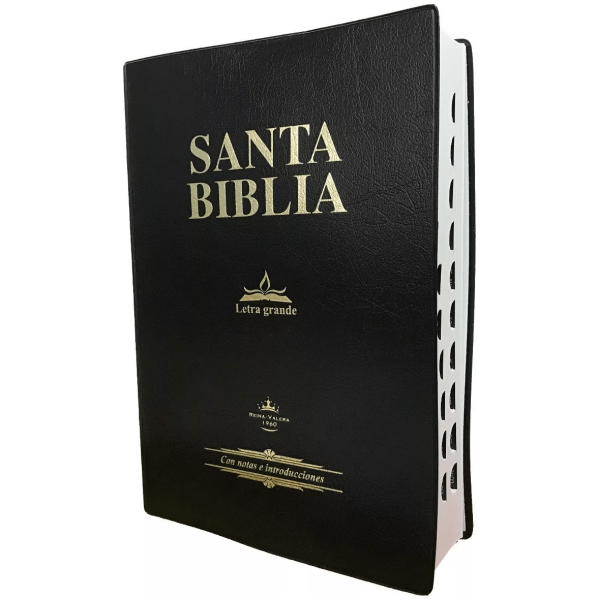 Biblia Letra Gigante Rvr1960 Tapa Vinil Negro Con Índice