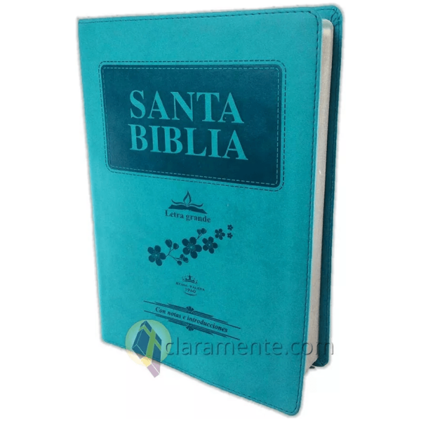 Biblia Letra Gigante Con Concordancia, Rvr1960, Turqueza