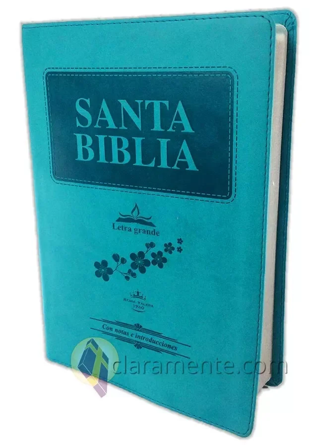 Biblia Letra Gigante Con Concordancia, Rvr1960, Turqueza