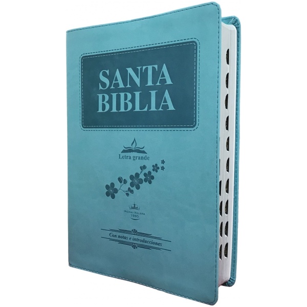 Biblia RVR60 gigante concordancia im. piel azúl índice