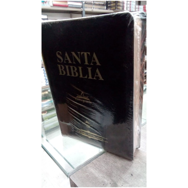 Santa Biblia L gigante Concordancia, Rvr1960, Piel Fabricada
